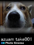 _posterImage.jpg