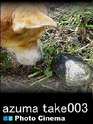 _posterImage.jpg